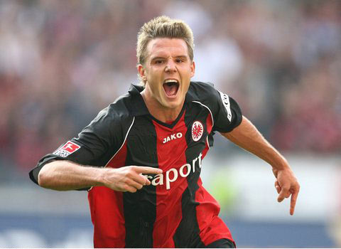 与慈善的象 与慈善的象